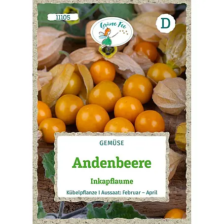 Grüne Fee Andenbeere Inkapflaume