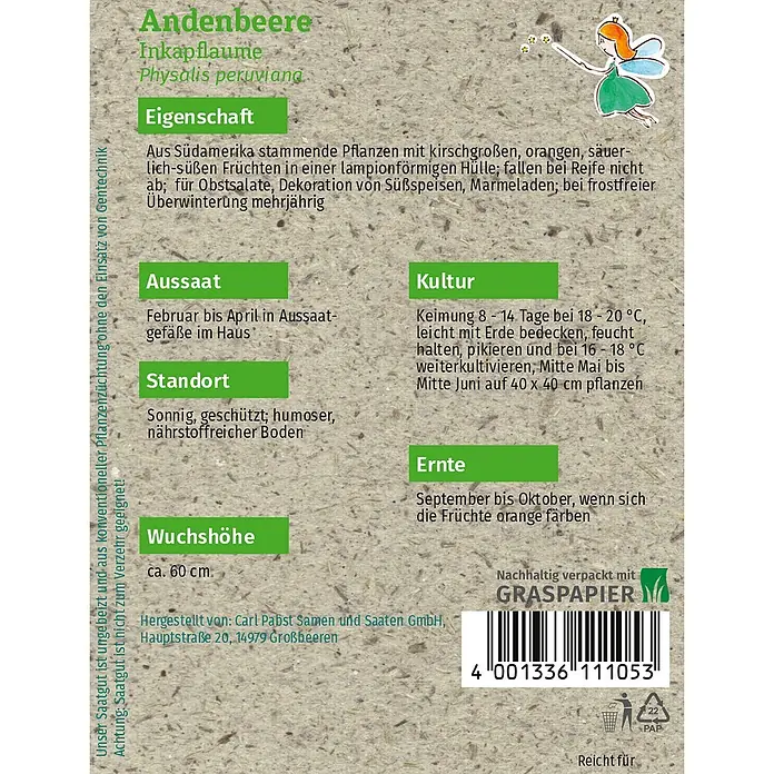 Grüne Fee Andenbeere Inkapflaume -  - Samenpäckchen aus Graspapier für Andenbeere (Physalis)-Samen, mit Pflanzanleitung, Barcode und einer kleinen Feenillustration.