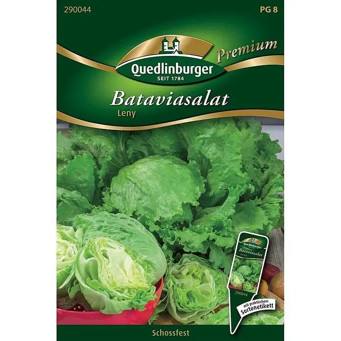 Quedlinburger SAATGUT Salatsamen Bataviasalat - Lacuta sativa, Erntezeit: Mai, 6,5 g - Quedlinburger 'Bataviasalat Leny' Samentüte mit grünem Salatbild und abnehmbarem Sortenetikett.