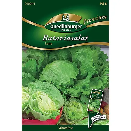 Quedlinburger SAATGUT  Salatsamen Bataviasalat