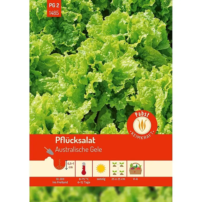 Pabst Keimkraft Salatsamen Pflücksalat - Lactuca sativa var. crispa L., Erntezeit: Mai, 0,4 g - Hellgrüner Pflücksalat 'Australische Gele' mit Aussaat-, Anbau- und Ernteinformationen für den Garten.