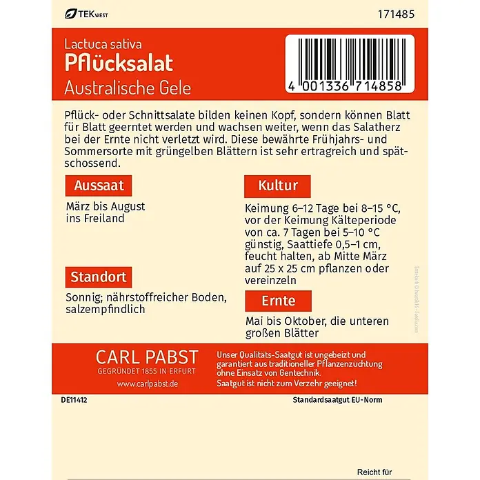 Pabst Keimkraft Salatsamen Pflücksalat - Lactuca sativa var. crispa L., Erntezeit: Mai, 0,4 g - Rote und weiße Samentüte für 'Pflücksalat Australische Gele', mit Anbauinfos und Barcode.