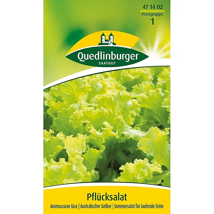 Quedlinburger SAATGUT Salatsamen Pflücksalat - Lactuca sativa, Erntezeit: April, 4 g - Quedlinburger Pflücksalat-Samenpackung mit den Sorten 'Australische Gele' und 'Australischer Gelber' für fortlaufende Ernte im Sommer.
