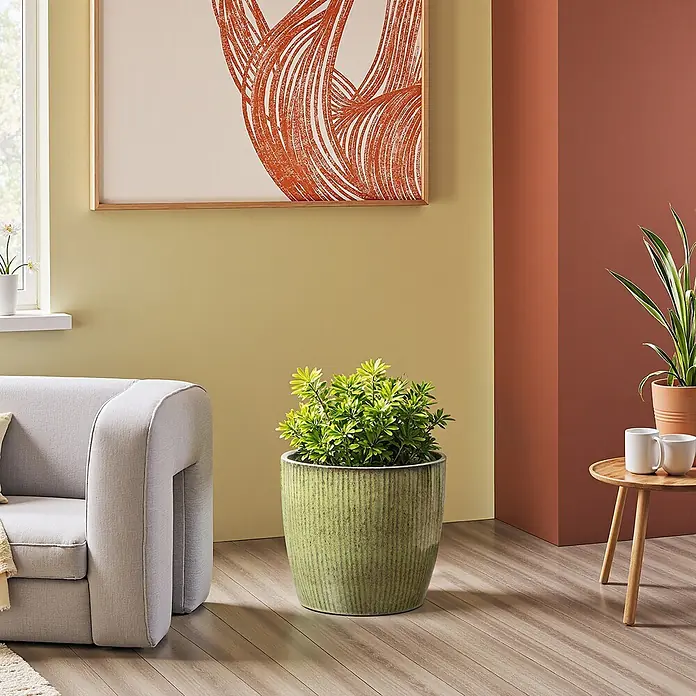 Hometopia Pflanztopf HTPL0080 - 1 Stk., Außenmaß (Ø x H): 30 x 27 cm, Keramik, Gelbgrün - Üppige Grünpflanze in geripptem Keramiktopf auf Holzboden, verschönert ein modernes Wohnzimmer.