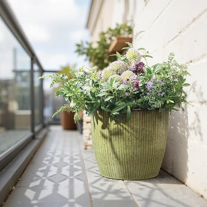Hometopia Pflanztopf HTPL0080 - 1 Stk., Außenmaß (Ø x H): 30 x 27 cm, Keramik, Gelbgrün - Grüner gerippter Topf mit lila Kugeldisteln und grünen Pflanzen auf einem Balkonboden.