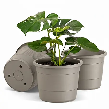 Plastard  Pflanztopf 3er-Set Ø 54 cm rund – Seidengrau, Pflanzkübel 78 Liter