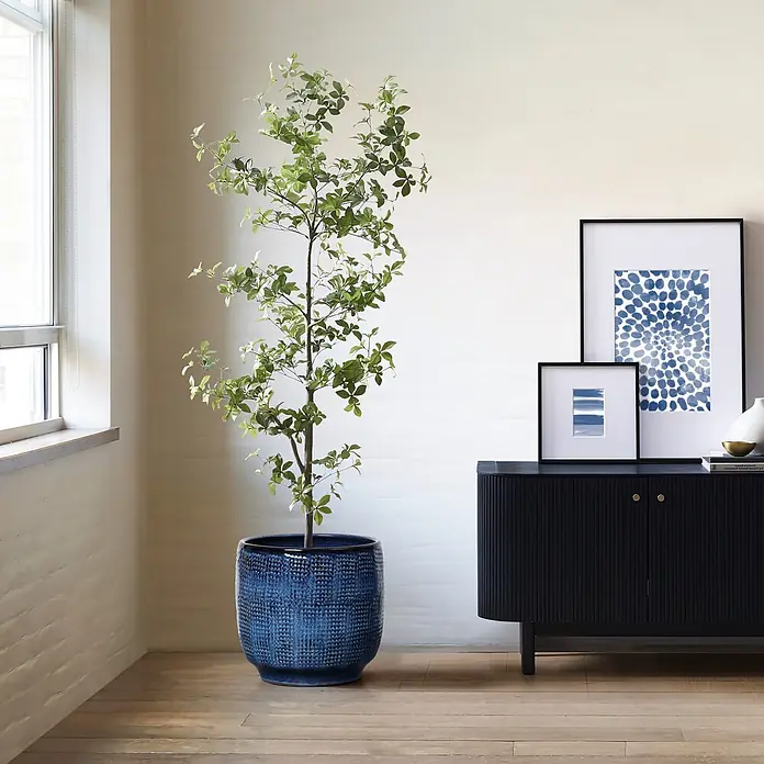 Kärcher Pflanztopf HTPL0036-M - 1 Stk., Außenmaß (Ø x H): 31 x 28,5 cm, Keramik, Marineblau - Große Topfpflanze in blauem Strukturtopf neben schwarzem Riffelschränkchen mit gerahmter Kunst in hellem Raum.
