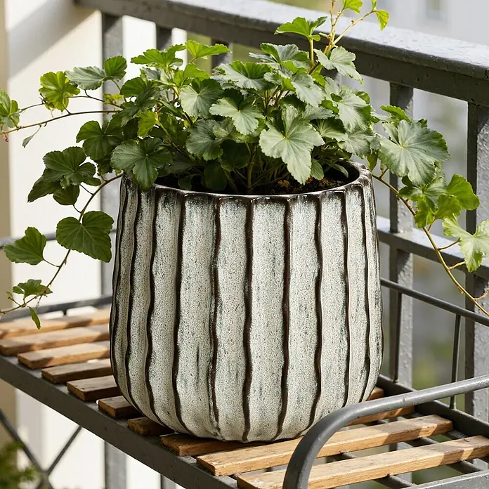 Hometopia Pflanztopf HTPL0078-LW - 1 Stk., Außenmaß (Ø x H): 23,5 x 2,61 cm, Keramik, Salbeigrün - Strukturierter Keramikübertopf in Cremeweiß mit dunkelbraunen vertikalen Streifen, hält eine grüne Pflanze auf einem Balkonregal.