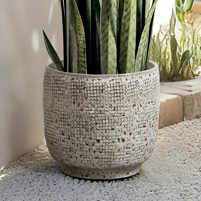 Hometopia Pflanztopf HTPL0327-M - 1 Stk., Außenmaß (Ø x H): 31 x 29 cm, Keramik, Graues - Strukturierter grauer Pflanzkübel mit Schlangenpflanze, auf rauer Betonfläche mit weiteren Pflanzen im Hintergrund.