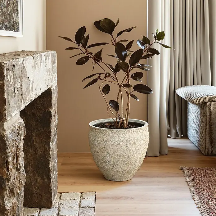 Blumentopf Groß, Rund Übertöpfe Betonoptik für Außen & Innen -  - Großer, strukturierter heller Pflanzkübel mit dunkelblättriger Pflanze auf Holzboden neben einem Steinkamin.