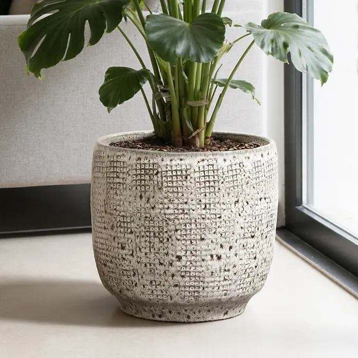 Hometopia Pflanztopf HTPL0327-M - 1 Stk., Außenmaß (Ø x H): 31 x 29 cm, Keramik, Graues - Großer, heller Keramik-Pflanztopf mit strukturierter Oberfläche, der eine üppige Grünpflanze beherbergt.