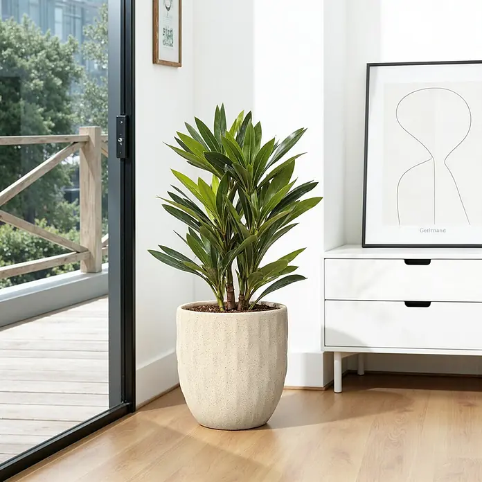 Hometopia Pflanztopf HTPL0183 - Außenmaß (Ø x H): 34 x 34 cm, Verbundwerkstoff, Apricot - Große grüne Topfpflanze in einem hellen strukturierten Pflanzgefäß, neben einer Glastür zum Balkon.