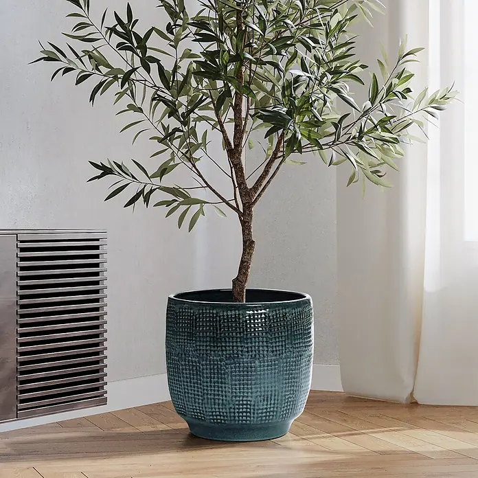 Hometopia Pflanztopf HTPL0037-M - 1 Stk., Außenmaß (Ø x H): 31 x 29 cm, Keramik, Dunkelgrün - Großer Olivenbaum in einem petrolfarbenen, strukturierten Keramiktopf, der in einem Raum steht.