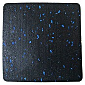 Mottez Gleiterstopper (B x L: 10 x 10 cm, Schwarz) | BAUHAUS