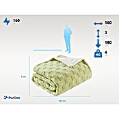 Purline Manta eléctrica Warmer Bed Plus 2 (160 W, 180 x 160 cm) | BAUHAUS