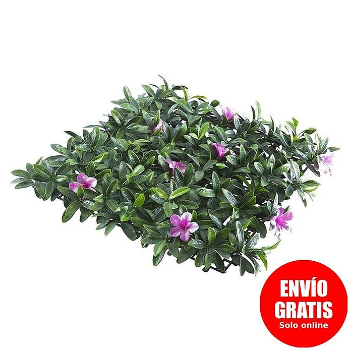 Jardín vertical Malva (Plástico, L x An: 50 x 50 cm) | BAUHAUS