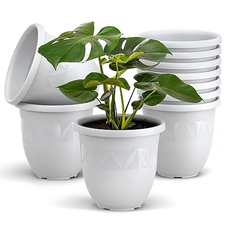 Plastard  Pflanztopf 10er-Set Ø 18 cm Weiß, 2 Liter, Garten & Balkon