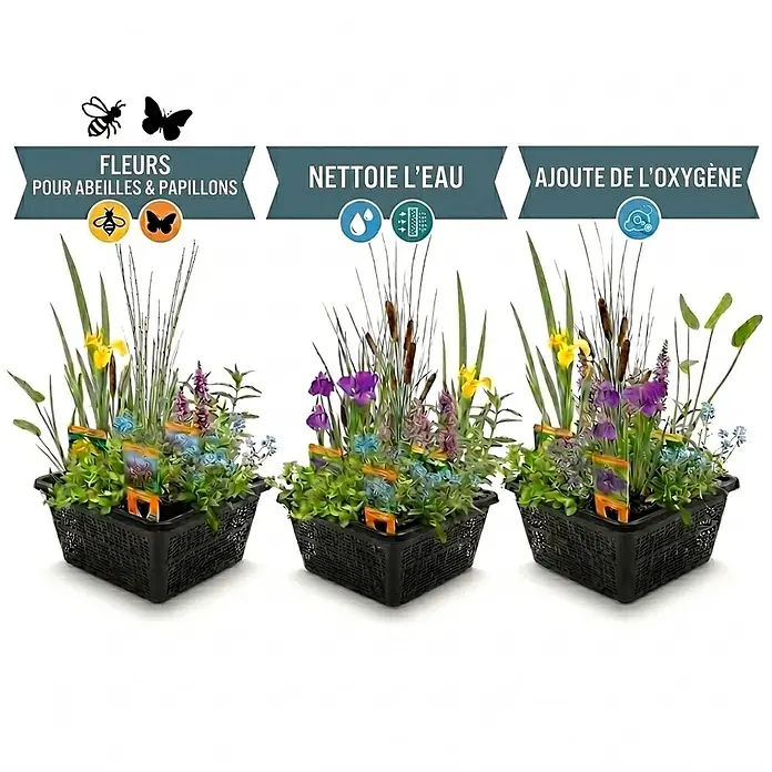 Vdvelde Wasserpflanzen-Mix - Pflanzenmischung, 12 Stk.