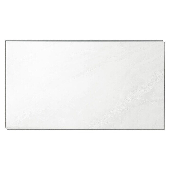 Dumawall+ Wandpaneel Gloss Evora (37,5 x 65 cm, Wit) | BAUHAUS