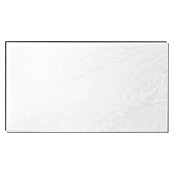 Dumawall+ Wandpaneel Gloss Evora (37,5 x 65 cm, Wit) | BAUHAUS