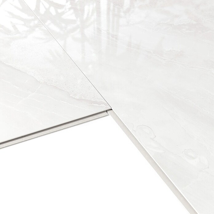 Dumawall+ Wandpaneel Gloss Evora (37,5 x 65 cm, Wit) | BAUHAUS