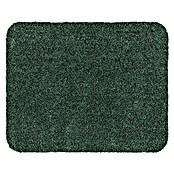 Astra Schmutzfangmatte entra SAUGSTARK (Uni, Grün, 60 x 75 cm, Material Nutzschicht: 100 % Baumwolle)