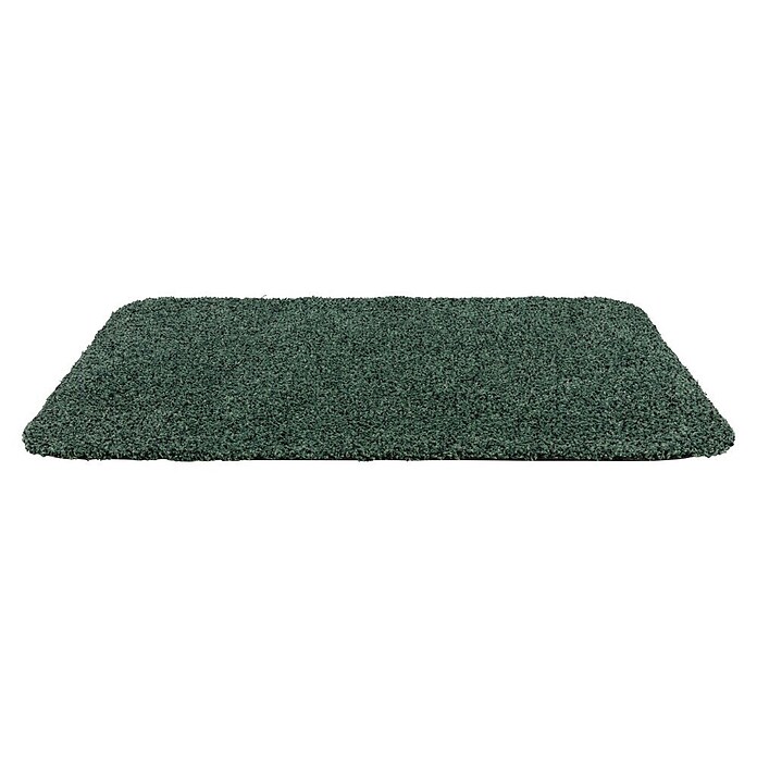 Astra Schmutzfangmatte entra SAUGSTARK (Uni, Grün, 60 x 75 cm, Material Nutzschicht: 100 % Baumwolle)