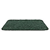 Astra Schmutzfangmatte entra SAUGSTARK (Uni, Grün, 60 x 75 cm, Material Nutzschicht: 100 % Baumwolle)