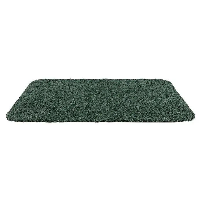 Astra Schmutzfangmatte entra SAUGSTARK - Grün, 60 x 75 cm, Material Nutzschicht: 100 % Baumwolle - Grüner, rechteckiger Shaggy-Teppich mit weicher, tiefer Florstruktur.