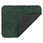 Astra Schmutzfangmatte entra SAUGSTARK (Uni, Grün, 60 x 75 cm, Material Nutzschicht: 100 % Baumwolle)