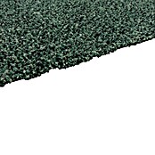 Astra Schmutzfangmatte entra SAUGSTARK (Uni, Grün, 60 x 75 cm, Material Nutzschicht: 100 % Baumwolle)