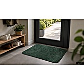 Astra Schmutzfangmatte entra SAUGSTARK (Uni, Grün, 60 x 75 cm, Material Nutzschicht: 100 % Baumwolle)