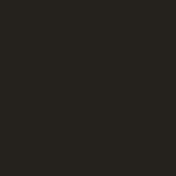 Bricoflor Vollton- & Abtönfarbe 500 ml Schwarz, innen und außen - anthrazit, Matt, 0,5 l, Wasserverdünnbar - Eine Produktoberfläche in tiefer, gleichmäßiger schwarzer Farbe.