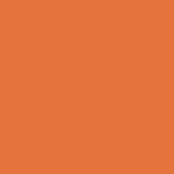 Bricoflor Vollton- & Abtönfarbe 500 ml Aprikot, innen und außen - hell-rot orange, Matt, 0,5 l, Wasserverdünnbar - Solide orange Farbe.