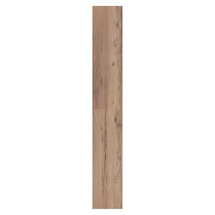 LOGOCLIC Sample Family Eiken Prizzi (296 x 195 x 1 mm, 2-stroken)