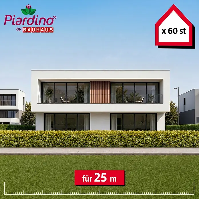 Piardino Liguster Aureum - Aktuelle Wuchshöhe: 100 cm - 125 cm, Ligustrum Ovalifolium Aureum, 60 Stk. - 60 Piardino Heckenpflanzen für eine 25-Meter-Hecke, vor einem modernen Haus dargestellt.