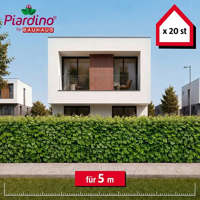 Piardino Hainbuche - Aktuelle Wuchshöhe: 100 cm - 125 cm, Carpinus Betulus, 20 Stk. - Üppige, grüne Heckenpflanzen vor modernen Häusern, ausreichend für 5 Meter, 20 Stück.