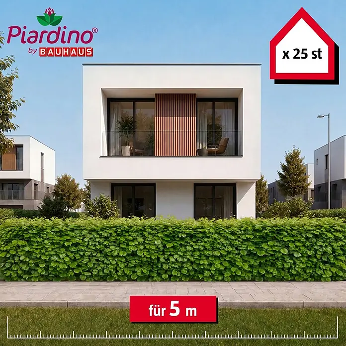 Piardino Hainbuche - 80 cm - 100 cm, Carpinus betulus, 25 Stk. - Grüne Heckenpflanzen vor modernen Häusern, 25 Stück für 5 Meter Hecke.