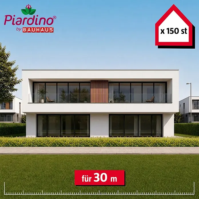 Piardino Liguster Aureum - Aktuelle Wuchshöhe: 60 cm - 80 cm, Ligustrum Ovalifolium Aureum, 150 Stk. - Piardino Pflanzprodukt: 150 Stück für 30 m, verwendet für eine grüne Hecke vor einem modernen Haus.