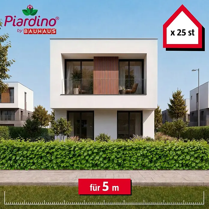 Piardino Hainbuche - Aktuelle Wuchshöhe: 60 cm - 80 cm, Carpinus Betulus, 25 Stk. - Grüne Hecke für 5 Meter, als 25 Pflanzen verkauft, vor modernen Häusern abgebildet.