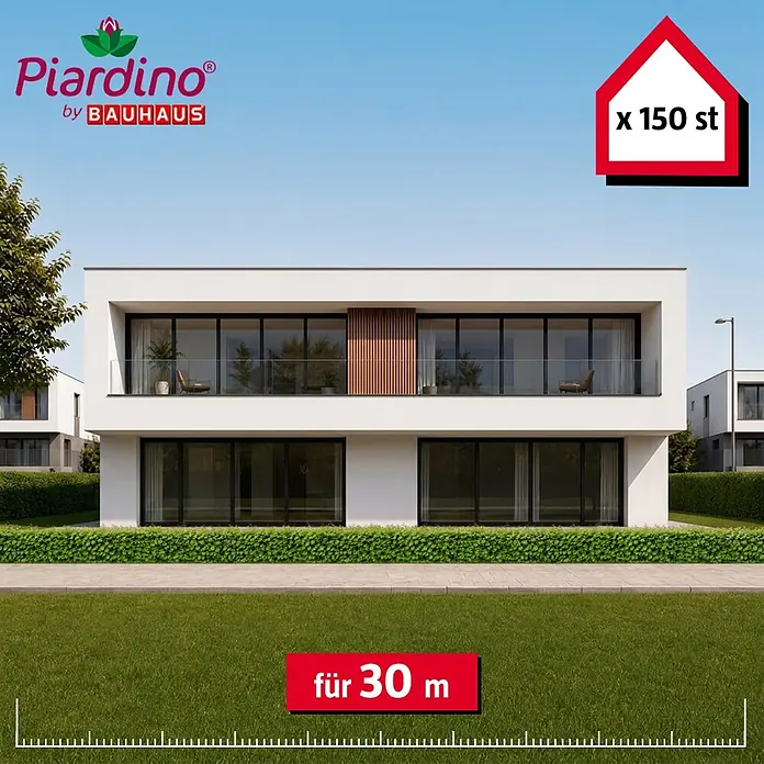 Piardino Hainbuche - Aktuelle Wuchshöhe: 60 cm - 80 cm, Carpinus Betulus, 150 Stk. - Grüne Piardino Heckenpflanzen (150 St.) für 30m, in einer modernen Gartenumgebung.