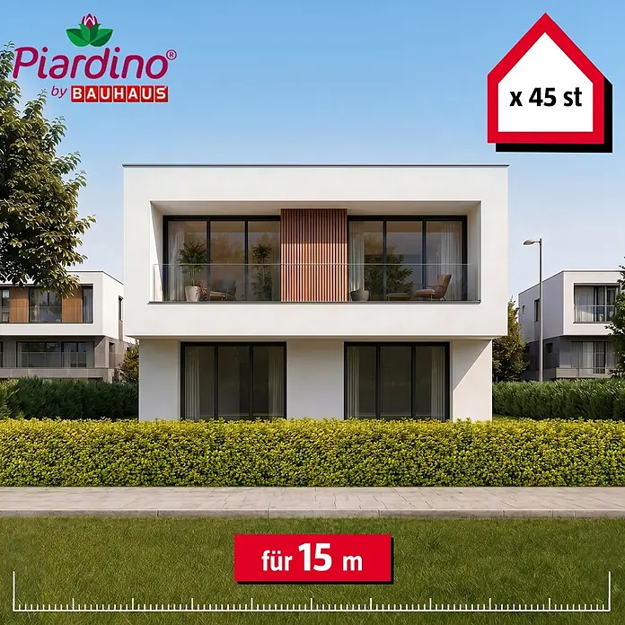 Piardino Liguster Aureum - Aktuelle Wuchshöhe: 100 cm - 125 cm, Ligustrum Ovalifolium Aureum, 45 Stk. - Heckenpflanzen bilden eine dichte grüne Barriere über 15 Meter vor einem modernen Haus.