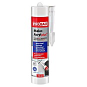 Probau Maleracryl Plus (310 ml) | BAUHAUS