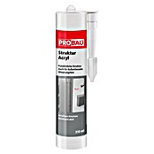 Probau Struktur-Acryl (Weiß, 310 ml)
