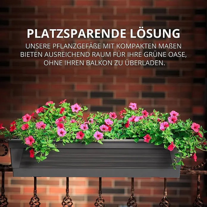 Plastard Pflanzkasten 100 cm Anthrazit, Pflanzkasten, Balkonkasten - 1 Stk., Außenmaß (L x B x H): 100 x 21 x 17 cm, Kunststoff, Anthrazit - Dunkelgraues Balkon-Pflanzgefäß mit Zierrillen, gefüllt mit rosa Petunien, hängt an einem Geländer.