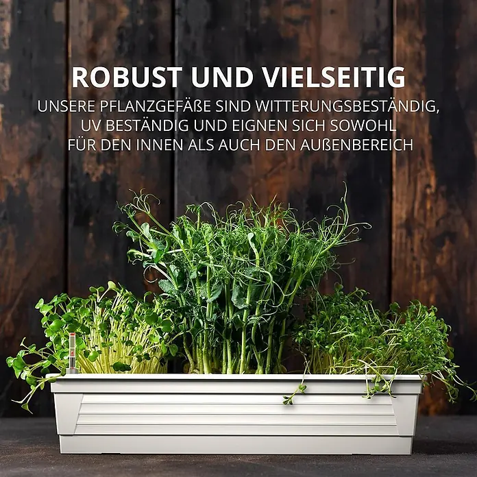 Plastard Pflanzkasten 100 cm Weiß - Balkonkasten mit Bewässerungssystem - 1 Stk., Außenmaß (L x B x H): 100 x 21 x 17 cm, Kunststoff, Weiß - Weißer rechteckiger Pflanzkasten mit grünen Microgreens, geeignet für drinnen und draußen.