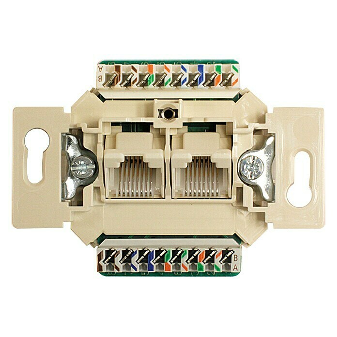 Voltomat MIKRO UAE-Dosen-Einsatz RJ 45Alpinweiß Front View