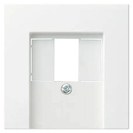 Gira System 55 TAE-Abdeckung 027627