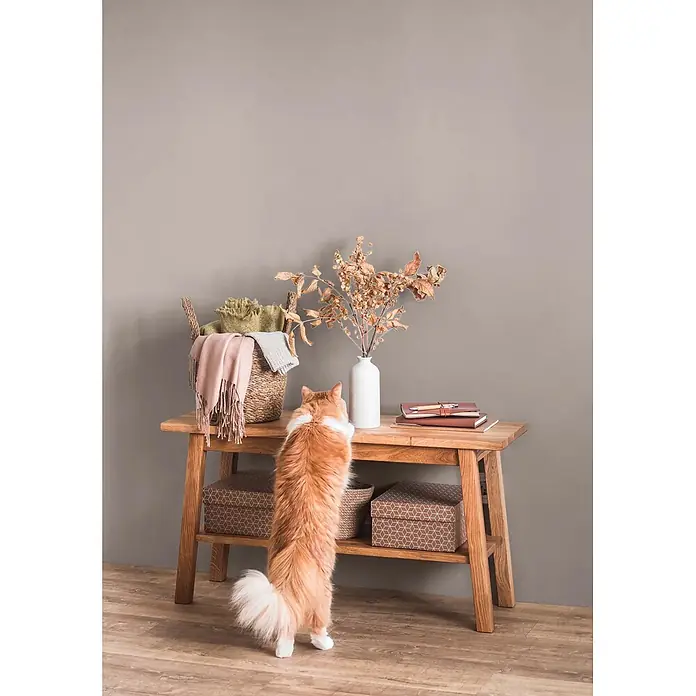 Caleo Color Wandfarbe Lehmfarbe Falkenfeder - Falkenfeder, Matt, 0,15 l - Heller Holztisch mit zwei Ablagen, dekoriert mit Korb, Vase und Büchern, während eine Katze neugierig aufschaut.