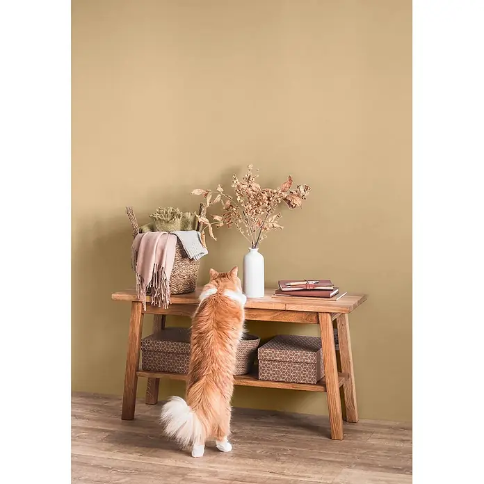 Caleo Color Wandfarbe Lehmfarbe Elbsandstein - Elbsandstein, Matt, 0,15 l - Eine orange Katze steht auf den Hinterbeinen und streckt sich zu einem Holztisch mit Korb, Decken und einer Vase mit getrockneten Zweigen.